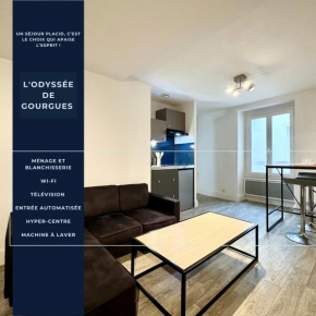 L'Odyssée de Gourgues - Central - Wifi